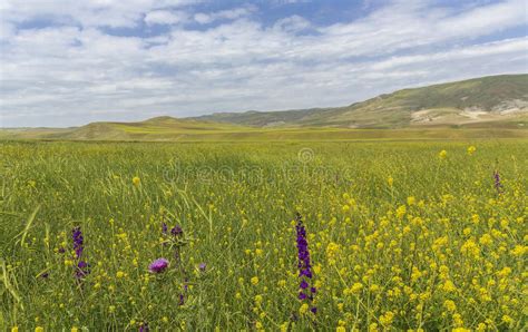 Spring In The Mountains Gobustanazerbaijan Stock Image Image Of