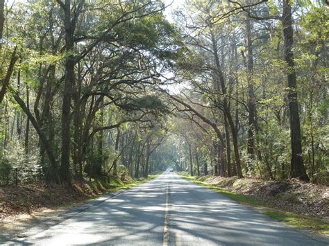8 Beautiful Scenic Byways In South Caroina Perfect For A Drive