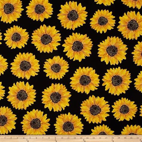 All Black Sunflower Wallpaper 435 Sunflower Hd Wallpapers