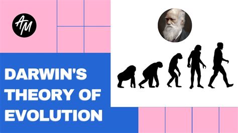 Darwinism Theory Of Evolution By Akash Mitra Youtube