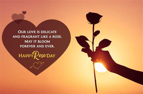 Happy Rose Day 2023 Wishes Images Quotes Status Hd Wallpapers 
