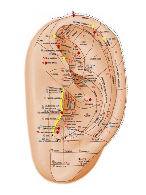 Pin By Allyson Chong On Mtc Acupuncture Benefits Acupuncture Ear