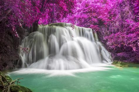 Beautiful Waterfall Nature Scenery Of Colorful Deep Forest In Summer