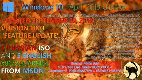 Windows 10 Version 1803 Multi Edition Iso Download Auditvol
