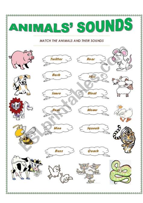 English Worksheets Animals´ Sounds