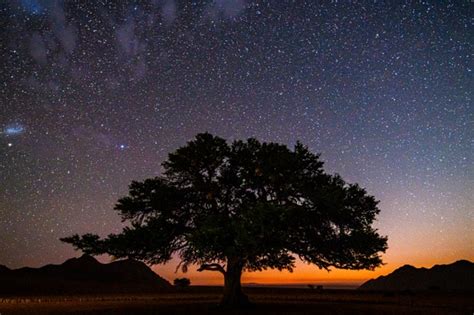 Southern Hemisphere Sky An Astronomy Guide Bbc Sky At Night Magazine