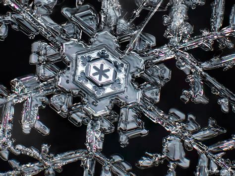 Images Of Snowflakes Under A Microscope 🌟 Zoom Feature From 1× To 10×