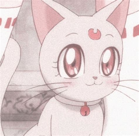 49 Best Ideas For Coloring Anime Cat Pfp