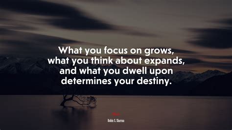 665396 What You Focus On Grows What You Concentrate On Is What You