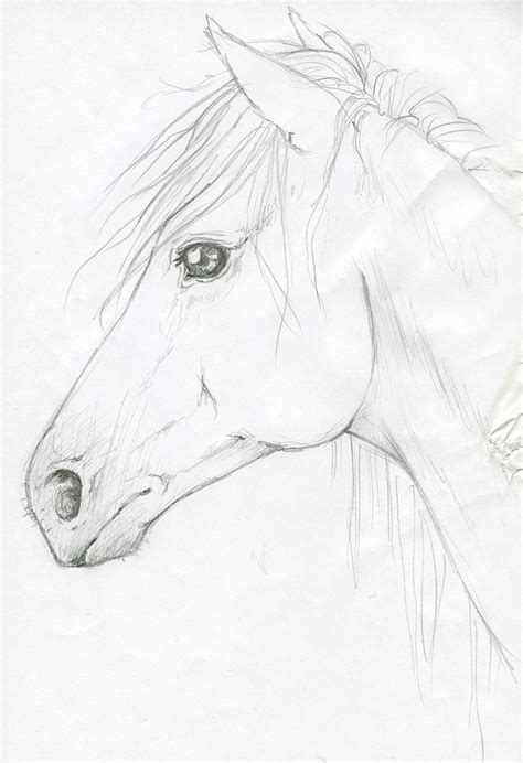 Horse Head By Silken On Deviantart Pferde Kopf Zeichnen Pferdekopf