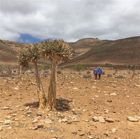 Visita Clanwilliam El Mejor Viaje A Clanwilliam Cederberg Del 2022