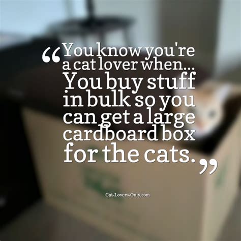 Cat Lover Quotes Quotesgram
