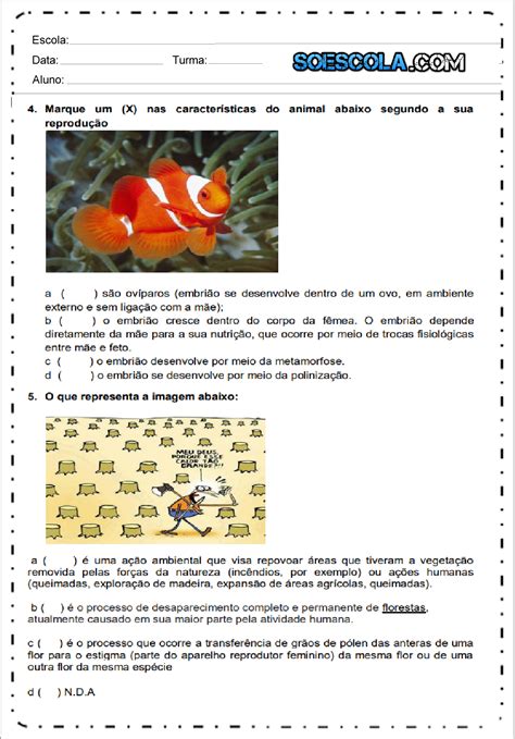 Atividades De Ciências 4 Ano Do Ensino Fundamental Para Imprimir