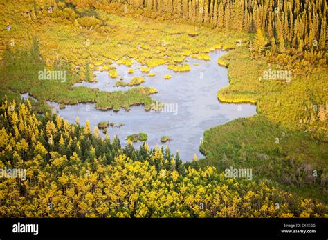 Boreal Alberta Canada Hi Res Stock Photography And Images Alamy