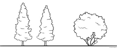 Trees Coloring Page Line Art Illustrations