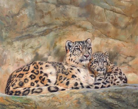 Snow Leopards Painting By David Stribbling