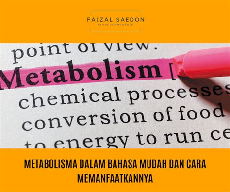 Metabolisma dalam bahasa mudah dan cara memanfaatkannya