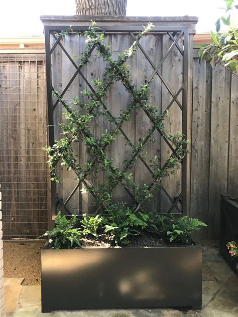 Best choice products 60 in. I like the mix of modern and classic approach to a vine trellis. | Modern garden trellis, Vine ...