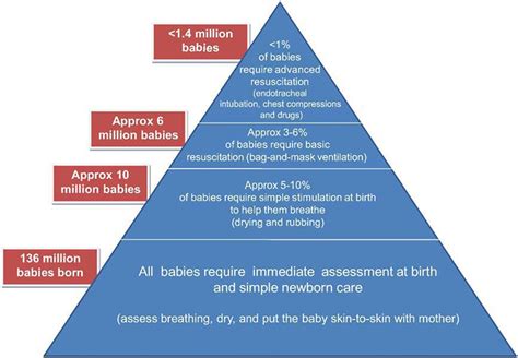Ethical Principles Guide Resuscitation Of A Newborn Geuid
