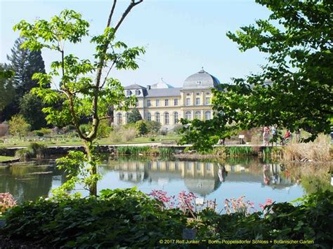 Drop in from botanischer garten bonn probefahrt vereinbaren autohaus siemon from this is article about 40 frisch botanischer garten bonn schön rating: Bonn, Poppelsdorfer Schloss + Botanischer Garten - Bild ...