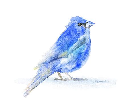 Indigo Bunting Watercolor Watercolor Paintings Birds Painting Bird Art