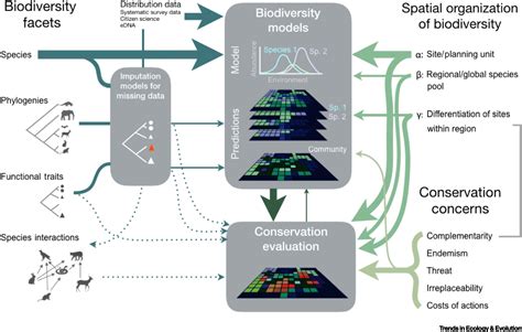 Protecting Biodiversity In All Its Complexity New Models And Methods