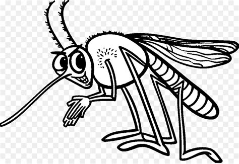 Nyamuk Serangga Buku Mewarnai Gambar Png