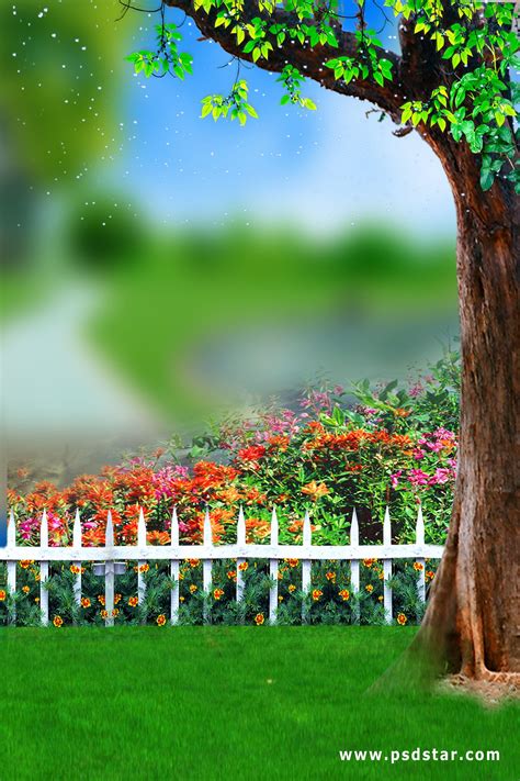 Studio Garden Background Hd Images For Photoshop और Background Psd