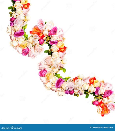 Rope Of Roses Stock Image Image Of Decoration Craft 99760465