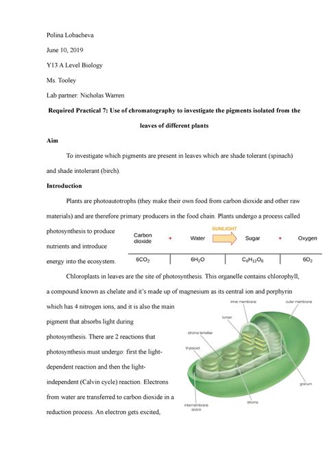 Practical 7 A Level Biology Coursework Polina Lobacheva June 10