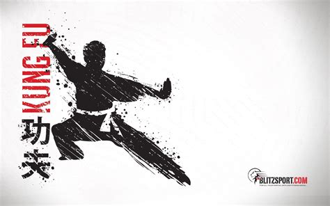 You do not need to be a graphic designer for you to do this. Kung Fu Wallpaper (81+ images)