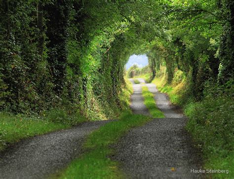 Green Tunnel By Hauke Steinberg Redbubble