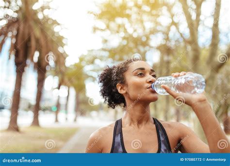 Athlete Drinking Water During Morning Jog Stock Photo Image Of