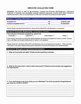 Employee Review Form Examples Pictures