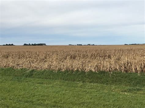 Minnesota Harvest Slowed By Rain Late Last Week Brownfield Ag News