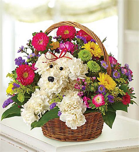 Gifts for animal lovers just got cuter. How About Some Dog-Shaped Flowers for Mother's Day?