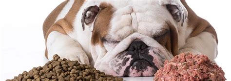 Maybe you would like to learn more about one of these? How to Assess Dog Food Taste Without Trying a Spoonful ...