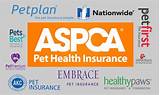 Best Pet Insurance Companies