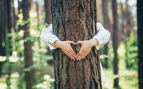 Abbracciare gli alberi perché fa molto bene alla salute