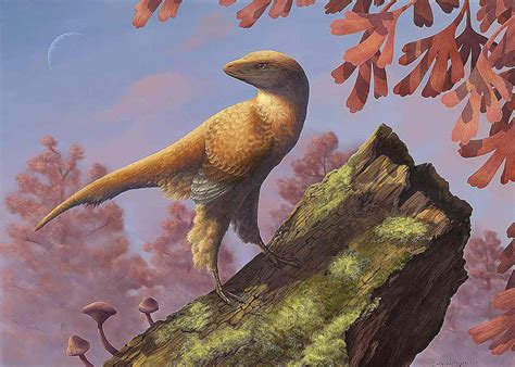 Pictures And Profiles Of Feathered Dinosaurs