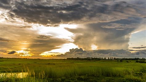 картинки пейзаж природа трава горизонт легкий облако Солнечный