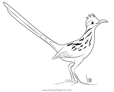 Road Runner 2 Coloring Page For Kids Free Cuckoos Printable Coloring