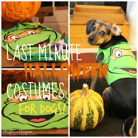 Last Minute Diy Dog Halloween Costumes From Baby Onesies