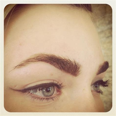 New Eyebrow Trendfeathering By Niki Robison