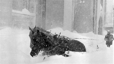 Horse Drawn Snow Plows Horses Pinterest