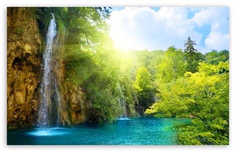 Forest Falls Ultra Hd Desktop Background Wallpaper For 4k Uhd Tv