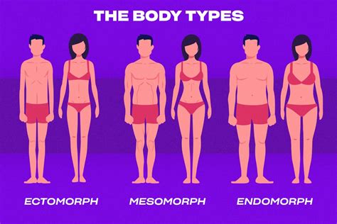 The 3 Male Body Types Characteristics Examples And More