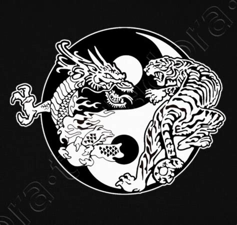 Camiseta Tigre Y Dragon Yin Yang Latostadora