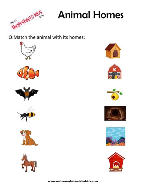 Free Animals Homes Worksheet For Grade 1