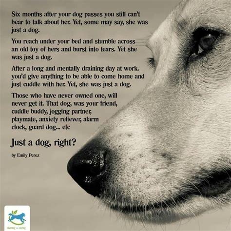 I Have A Few That Still Tear Me Up After Decades Dog Poems Dogs